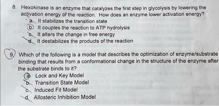 8. Hexokinase is an enzyme that catalyzes the first step in glycolysis by lowering the activation energy of the reaction. How does an enzyme lower activation energy?
a. It stabilizes the transition state
b. It couples the reaction to ATP hydrolysis
c. It alters the change in free energy
d. It destabilizes the products of the reaction
9. Which of the following is a model that describes the optimization of enzyme/substrate binding that results from a conformational change in the structure of the enzyme after the substrate binds to it?
a. Lock and Key Model
b. Transition State Model
c. Induced Fit Model
d. Allosteric Inhibition Model