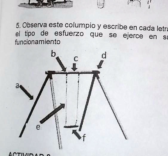 ayuda doy corona si me ayuda 5 observa este columpio y escribe en cada letrs el tipo de esfuerzo que se ejerce en funcionamiento d 81825