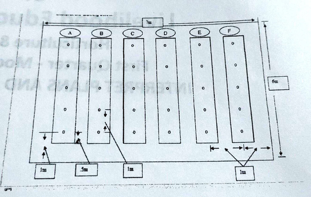 SOLVED 1. What is your area 2. How many rows are there in the