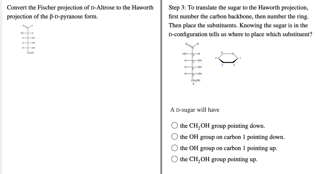 Convert the Fischer projection of D-Altrose to the Haworth projection of the ?-D-pyranose form. Step 3: To translate the sugar to the Haworth projection, first number the carbon backbone, then number the ring. Then place the substituents. Knowing the sugar is in the D-configuration tells us where to place which substituent? A D-sugar will have the CH2OH group pointing down. the OH group on carbon 1 pointing down. the OH group on carbon 1 pointing up. the CH2OH group pointing up.