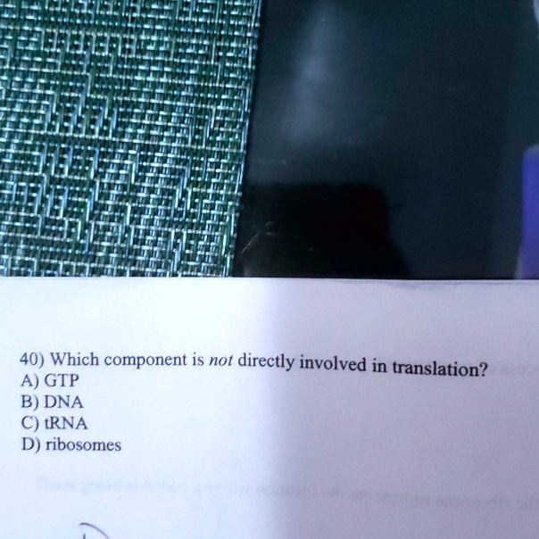 40) Which component is not directly involved in translation?
A) GTP
B) DNA
C) tRNA
D) ribosomes