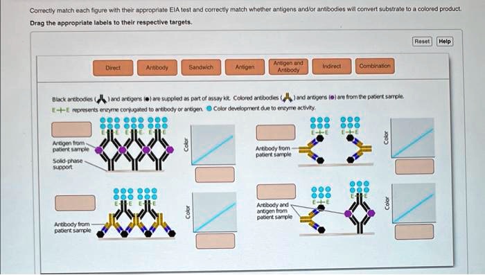 Correctly match each figure with their appropriate EIA test and ...