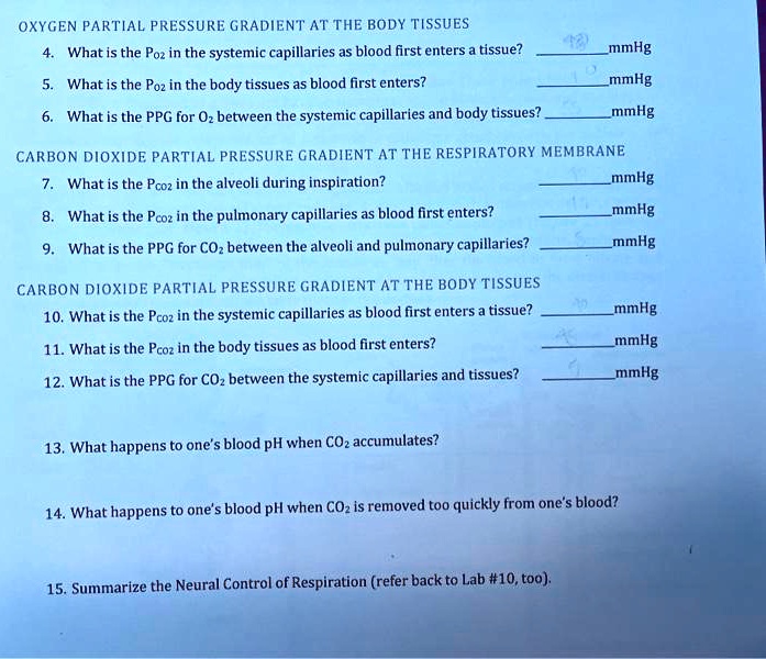 SOLVED OXYGEN PARTIAL PRESSURE GRADIENT AT THE BODY TISSUES What is