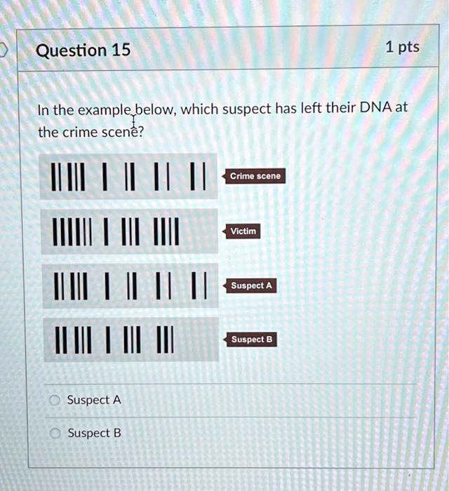 SOLVED: In The Example Below, Which Suspect Has Left Their DNA At The ...