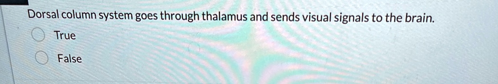 dorsal column system goes through thalamus and sends visual signals to the brain true false 63182