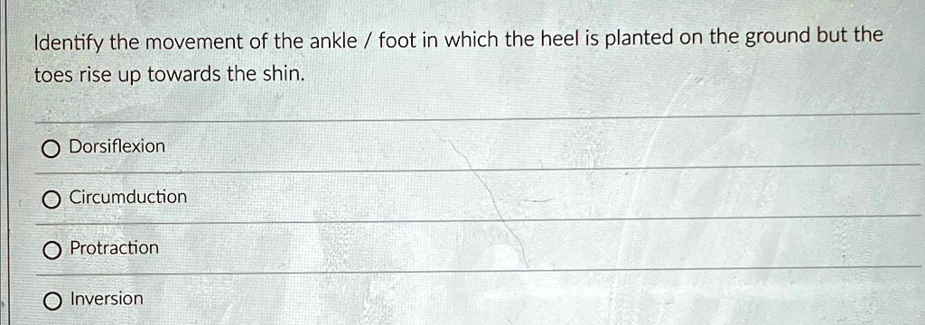 Identify the movement of the ankle / foot in which the heel is planted on the ground but the
toes rise up towards the shin.
O Dorsiflexion
Circumduction
Protraction
Inversion
