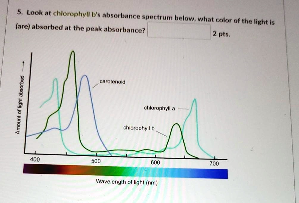 SOLVED Look at chlorophyll b's absorbance spectrum below, what color