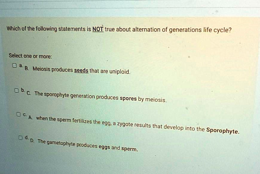 Which of the following statements is NOT true about alternation of generations life cycle?
Select one or more:
a. B. Meiosis produces seeds that are uniploid.
b. C. The sporophyte generation produces spores by meiosis.
c. A. when the sperm fertilizes the egg, a zygote results that develop into the Sporophyte.
d. D. The gametophyte produces eggs and sperm.