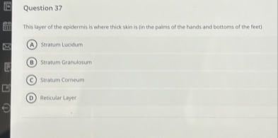 Question 37

This layer of the epidermis is where thick skin is (in the palms of the hands and bottoms of the feet)

(A) Stratum Lucidum
(B) Stratum Granulosum
(C) Stratum Corneum
(D) Reticular Layer