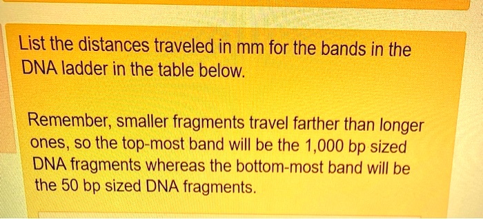 list the distances traveled in mm for the bands in the dna ladder in ...