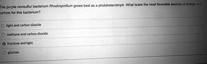 The purple nonsulfur bacterium Rhodospirillum grows best as a photoheterotroph. What is/are the most favorable sources of energy and carbon for this bacterium?

light and carbon dioxide
methane and carbon dioxide
fructose and light
glucose