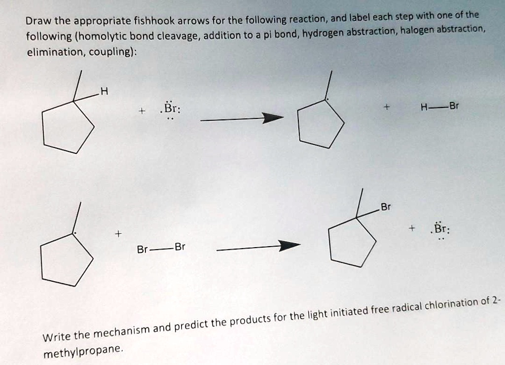 SOLVED Draw the appropriate fishhook arrows for the following reaction