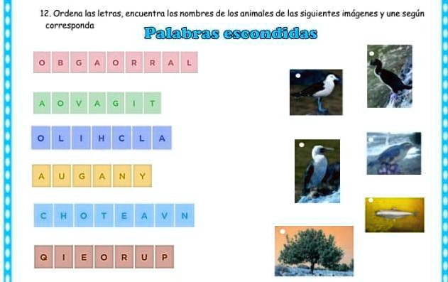 SOLVED: ordena los nombres de los animales 12, Ordenu las letras
