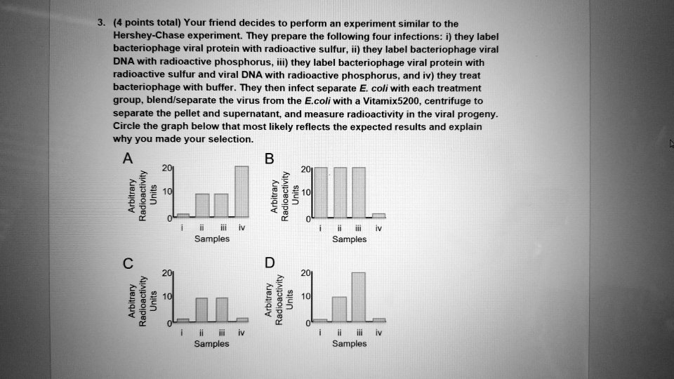 3. (4 points total) Your friend decides to perform an experiment similar to the
Hershey-Chase experiment. They prepare the following four infections: i) they label
bacteriophage viral protein with radioactive sulfur, ii) they label bacteriophage viral
DNA with radioactive phosphorus, iii) they label bacteriophage viral protein with
radioactive sulfur and viral DNA with radioactive phosphorus, and iv) they treat
bacteriophage with buffer. They then infect separate E. coli with each treatment
group, blend/separate the virus from the E.coli with a Vitamix5200, centrifuge to
separate the pellet and supernatant, and measure radioactivity in the viral progeny.
Circle the graph below that most likely reflects the expected results and explain
why you made your selection.
A
20
10
i ii iii iv
Samples
B
20
10
i ii iii iv
Samples
C
20
10
i ii iii iv
Samples
D
20
10
i ii iii iv
Samples