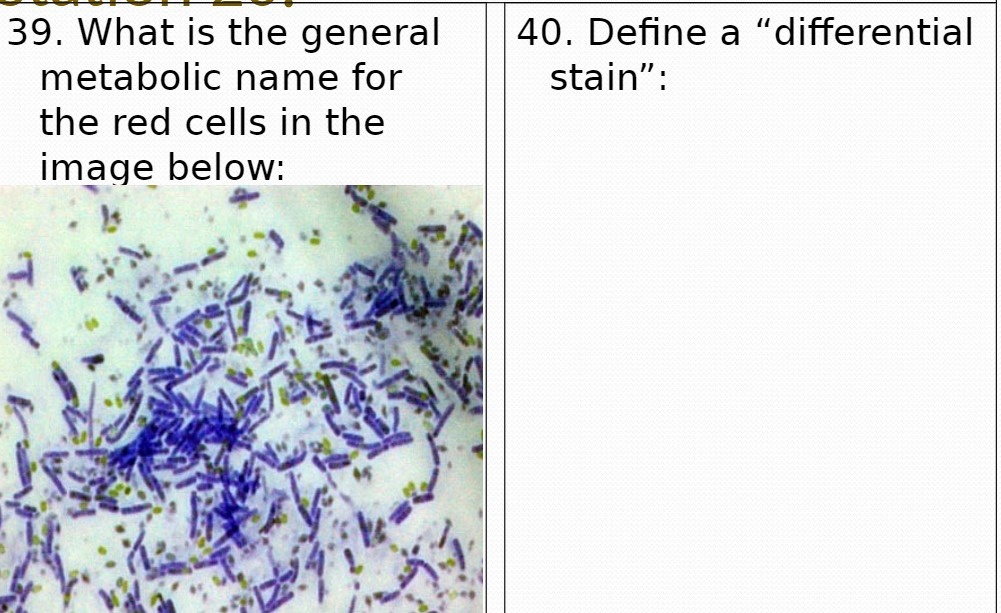 VIDEO solution '39. What is the general metabolic name for the red