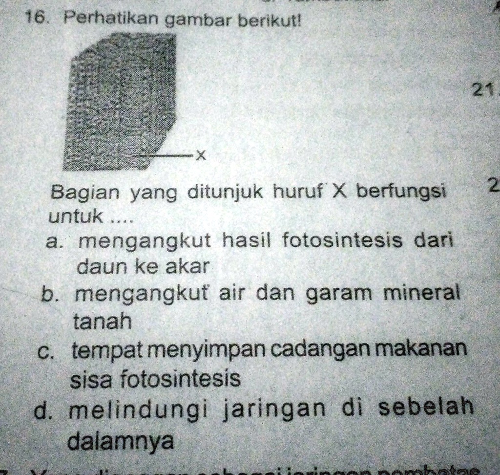 SOLVED: Bagian Yg Di Tunjukan Huruf X Berfungsi Untuk 16 Perhatikan ...