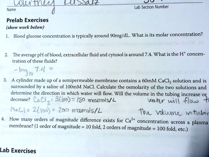 3) A cylinder made up of a semipermeable membrane contains a 60mM CaCl2