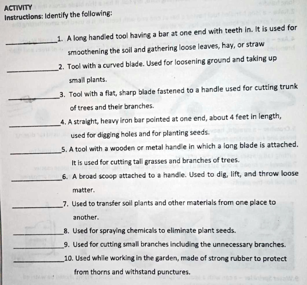 SOLVED 'pasagot please. Pls slamat ActivITY Instructions Identify the