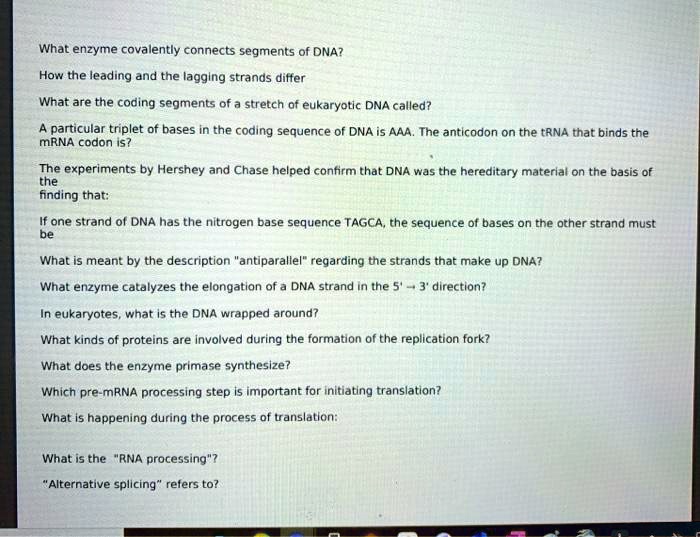Solved:what Enzyme Covalently Connects Segments Of Dna? How The Leading And  The Lagglng Strands Difter What Are The Coding Segments Of A Stretch Of  Eukaryotic Dna Called? Particular Triplet Of Bases In Solved:what Enzyme Covalently Connects Segments Of Dna? How The Leading And  The Lagglng Strands Difter What Are The Coding Segments Of A Stretch Of  Eukaryotic Dna Called? Particular Triplet Of Bases In