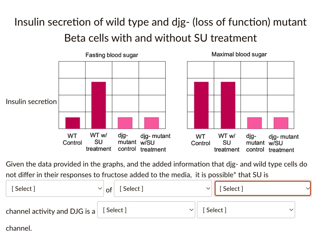 Insulin secretion of wild type and djg- (loss of function) mutant
Beta cells with and without SU treatment
Fasting blood sugar
Maximal blood sugar
Insulin secretion
WT Control
WT w/ SU treatment
djg- mutant control
djg- mutant w/SU treatment
WT Control
WT w/ SU treatment
djg- mutant control
djg- mutant w/SU treatment
Given the data provided in the graphs, and the added information that djg- and wild type cells do not differ in their responses to fructose added to the media, it is possible* that SU is
[Select] of [Select] [Select]
channel activity and DJG is a [Select] [Select]
channel.