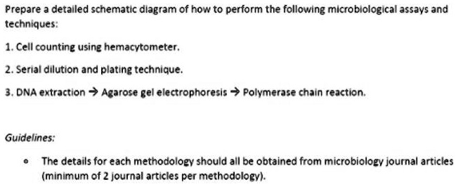 Prepare a detailed schematic diagram of how to perform the following ...
