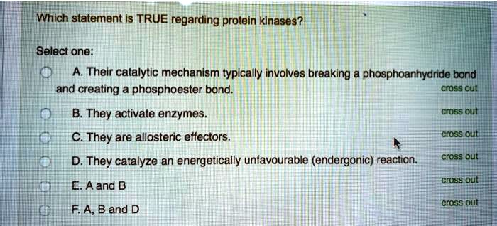 Which statement is TRUE regarding protein kinases?

Select one:
A. Their catalytic mechanism typically involves breaking a phosphoanhydride bond and creating a phosphoester bond.
B. They activate enzymes.
C. They are allosteric effectors.
D. They catalyze an energetically unfavourable (endergonic) reaction.
E. A and B
F. A, B and D