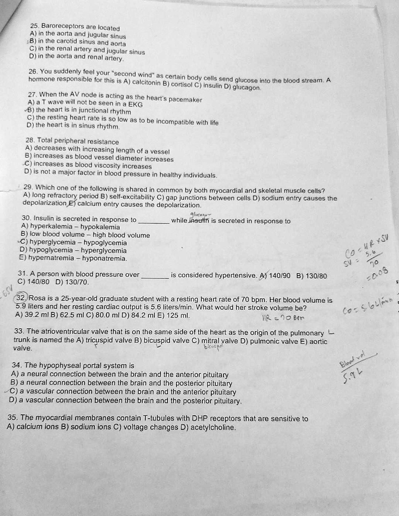 SOLVED 25 Baroreceptors Are Located A In The Aorta And Jugular Sinus solved-25-baroreceptors-are-located-a-in-the-aorta-and-jugular-sinus