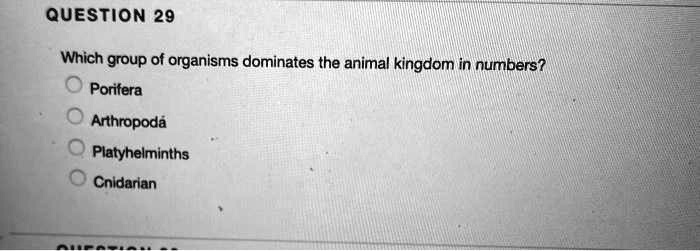 Which group of organisms dominates the animal kingdom in numbers?
Porifera
Arthropoda
Platyhelminths
Cnidarian