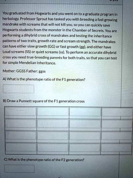 SOLVED: You graduated from Hogwarts and you went on to graduate program ...