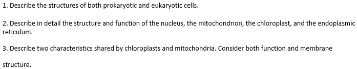 1. Describe the structures of both prokaryotic and eukaryotic cells.
2. Describe in detail the structure and function of the nucleus, the mitochondrion, the chloroplast, and the endoplasmic reticulum.
3. Describe two characteristics shared by chloroplasts and mitochondria. Consider both function and membrane
structure.