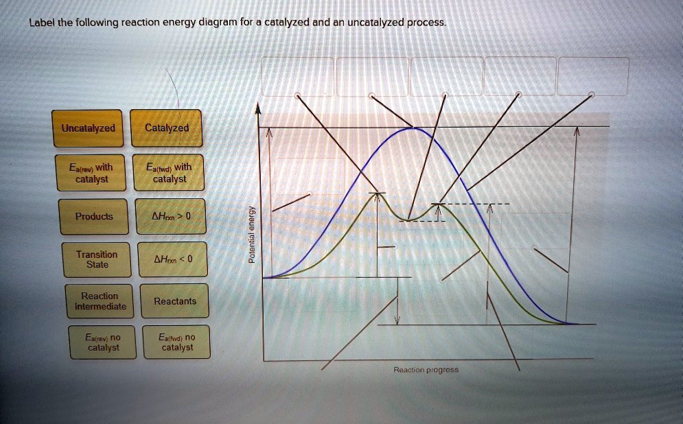 Reaction Energy Diagram For A Catalyzed And An Uncatalyzed P