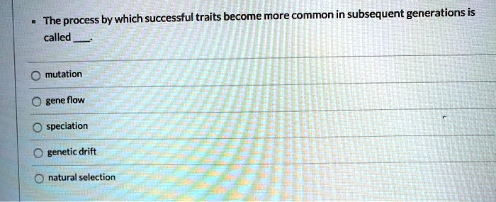 The process by which successful traits become more common in subsequent generations is called.

mutation
gene flow
speciation
genetic drift
natural selection