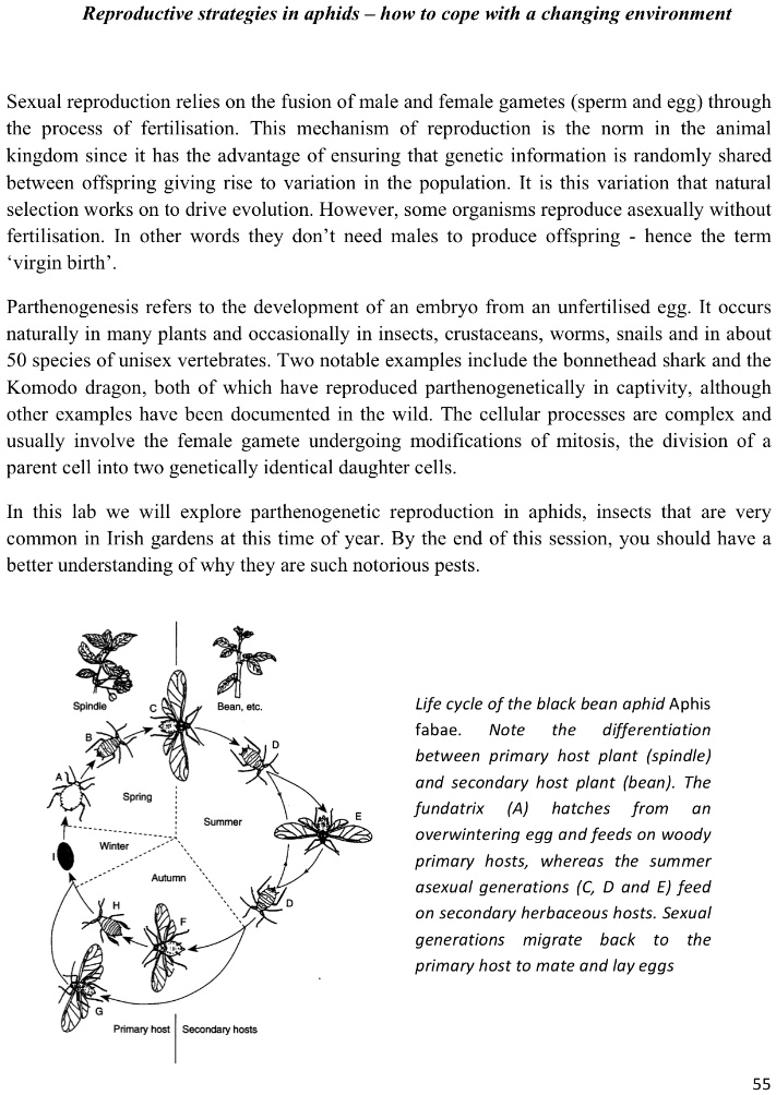 SOLVED Reproductive strategies in aphids how to cope with a changing