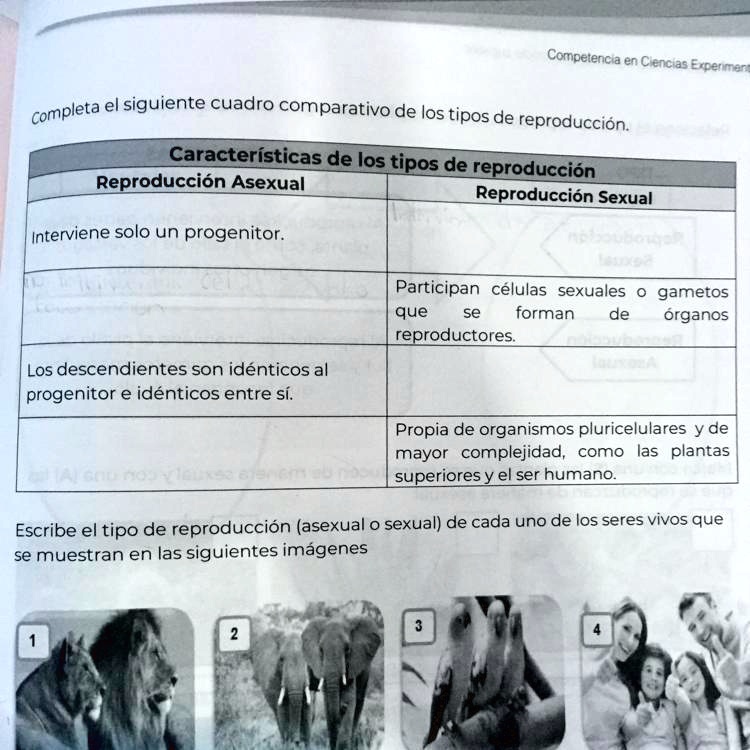 SOLVED: No Entiendo, Me Pueden Ayudar??? Competencia En Cencias Erperne ...