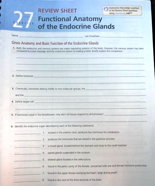 SOLVED REVIEWSHEET using Mring A P 27 Functional Anatomy of the