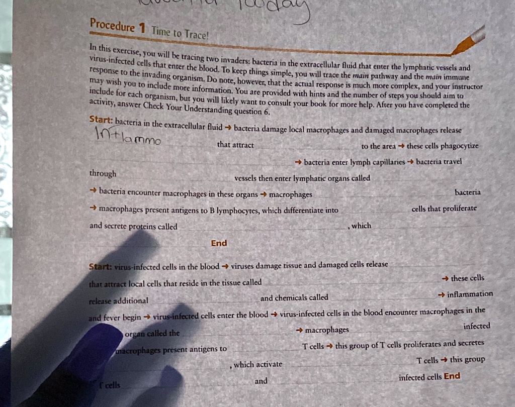 please help mcc tcuco procedure 1 time to tracel in this exercise you ...