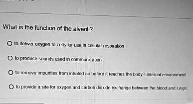 SOLVED: What is the function of the alveoli? to deliver oxygen to cells ...