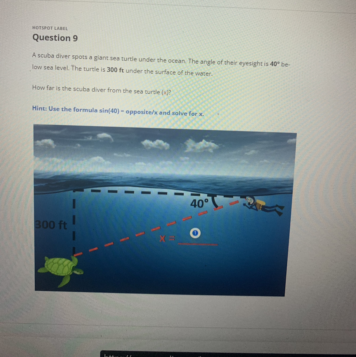 SOLVED HOTSPOT LABEL Question 9 A scuba diver spots a giant sea turtle