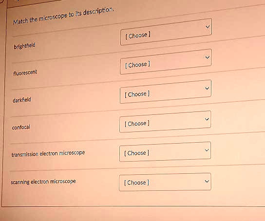 Solved Match The Microscope To Its Description Brightfield Fluorescent Darkfield Confocal