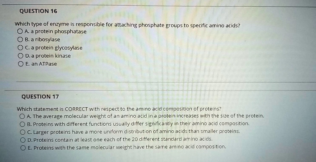 QUESTION 16
Which type of enzyme is responsible for attaching phosphate groups to specific amino acids?
A. a protein phosphatase
B. a ribosylase
C. a protein glycosylase
D. a protein kinase
E. an ATPase

QUESTION 17
Which statement is CORRECT with respect to the amino acid composition of proteins?
A. The average molecular weight of an amino acid in a protein increases with the size of the protein.
B. Proteins with different functions usually differ significantly in their amino acid composition.
C. Larger proteins have a more uniform distribution of amino acids than smaller proteins.
D. Proteins contain at least one each of the 20 different standard amino acids.
E. Proteins with the same molecular weight have the same amino acid composition.