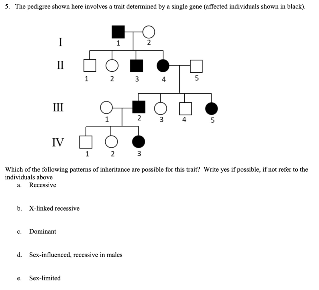 the pedigree shown here involves a trait determined by a single gene ...