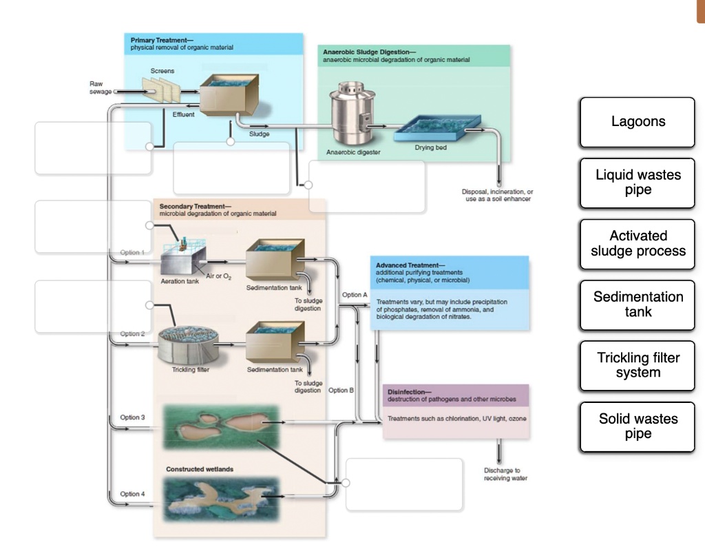 Label The Image To Examine The Alternatives For Treating Polluted Water 