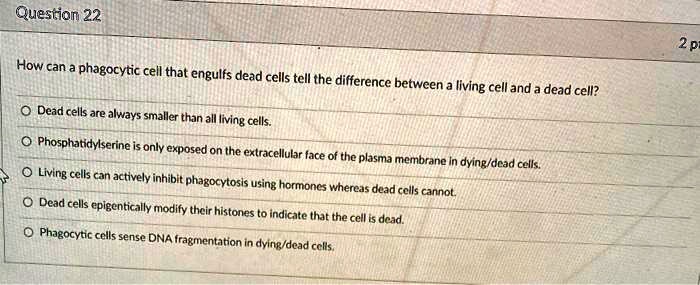 How can a phagocytic cell that engulfs dead cells tell the difference between a living cell and a dead cell?

Dead cells are always smaller than all living cells.
Phosphatidylserine is only exposed on the extracellular face of the plasma membrane in dying/dead cells.
Living cells can actively inhibit phagocytosis using hormones whereas dead cells cannot.
Dead cells epigenetically modify their histones to indicate that the cell is dead.
Phagocytic cells sense DNA fragmentation in dying/dead cells.