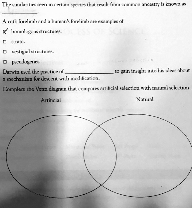 SOLVED The similarities seen in certain species that result from