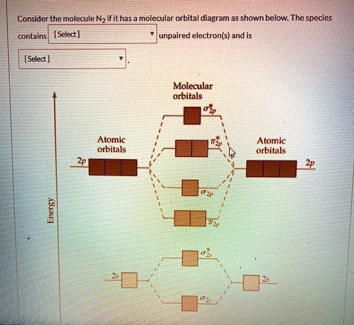 consider the molecule nz if it has a molecular orbital diagram as shown ...