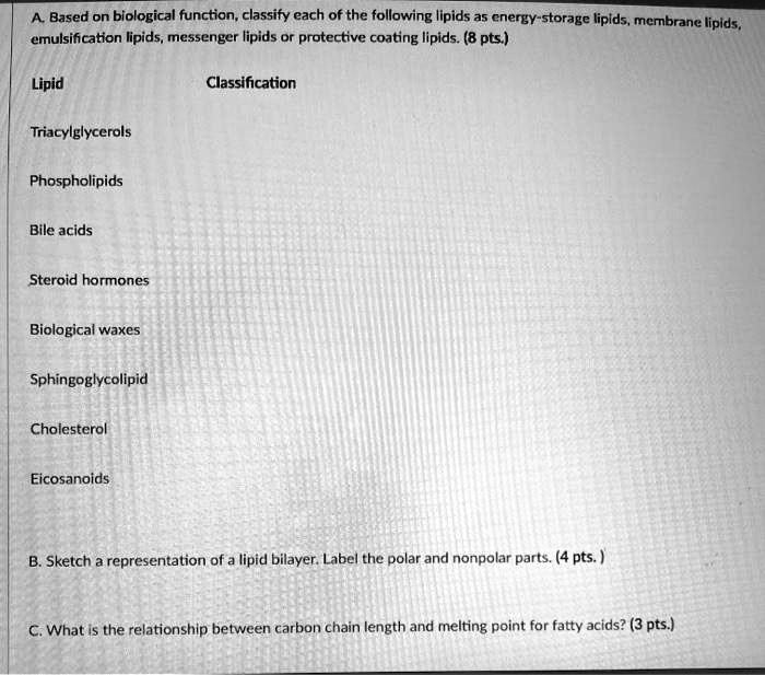 SOLVED Text Based on biological function, classify each of the