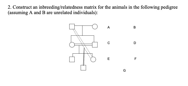 SOLVED: Construct an inbreeding/relatedness matrix for the animals in ...