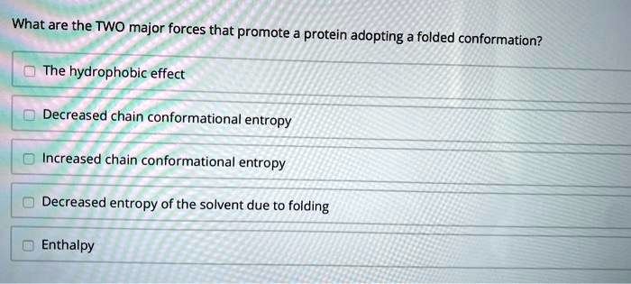 What are the TWO major forces that promote a protein adopting a folded conformation?
The hydrophobic effect
Decreased chain conformational entropy
Increased chain conformational entropy
Decreased entropy of the solvent due to folding
Enthalpy