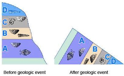 SOLVED: 'The images show sedimentary layers before and after they were ...