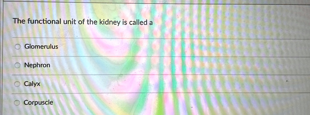 The functional unit of the kidney is called a Glomerulus Nephron Calyx ...